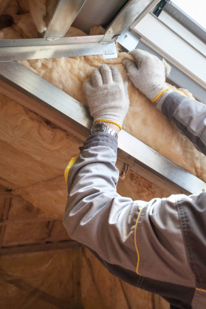 Best Attic Insulation Installation  in Wilder, KY